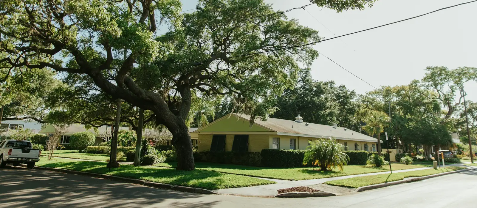 Single storey Florida home under spreading live oaks on a quiet residential street