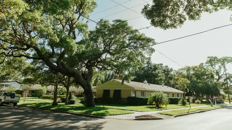 Single storey Florida home under spreading live oaks on a quiet residential street